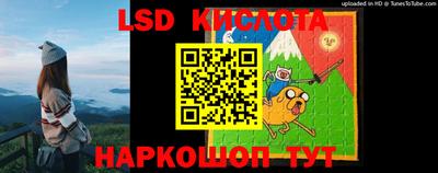 шишки Краснодар