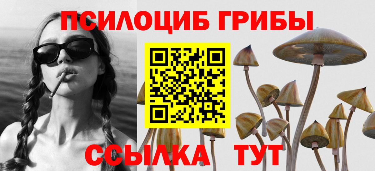 Касимов  Галлюциногенные грибы Magic Shrooms  продажа наркотиков  Вход с VPN 